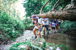 BIB: 
                            <button type="button" onclick="openModal(25469907)" class="btn btn-primary btn-sm float-right btn-popup" data-toggle="modal" data-target=".modal-high-quality">
                        <i class="fas fa-shopping-cart"></i> Add to Cart
                    </button>
                                            <button type="button" onclick="isThisMe(25469907, true)" class="btn btn-success btn-sm float-right btn-popup btn-isme hidden" data-toggle="tooltip" data-placement="bottom" title="นี่คือรูปของคุณใช่ไหม คลิกที่นี่เพื่อเอาเข้าอัลบั้ม">
                        <i class="fas fa-plus"></i> Add to album
                    </button>
                    <button type="button" onclick="isThisMe(25469907, false)" class="btn btn-warning btn-sm float-right btn-popup btn-isnotme hidden">
                        <i class="fas fa-ban"></i> Remove from album
                    </button>